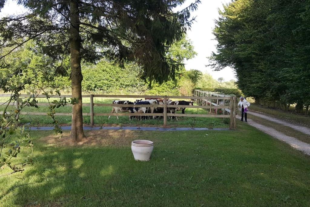 La Bocagere D' Henri Vila Saint-Come-du-Mont Exterior foto